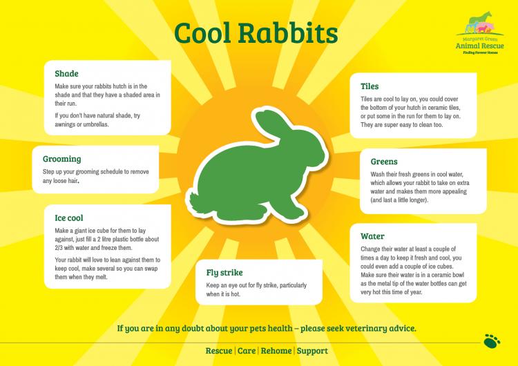 Cool Rabbits